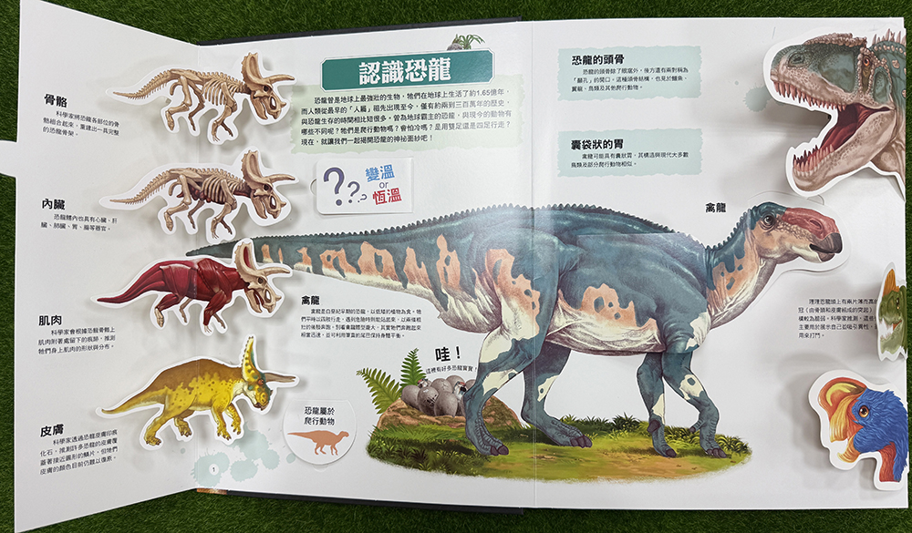 知識大百科3D立體書：大恐龍